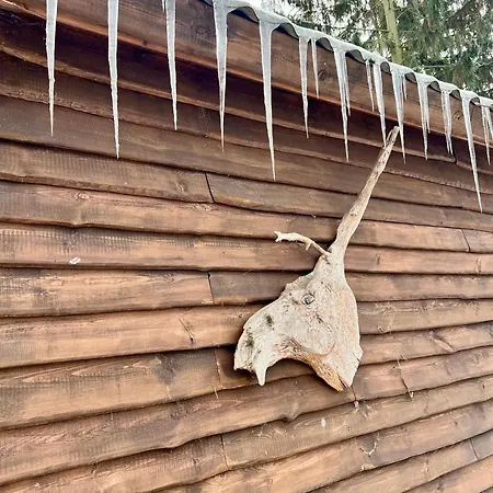 Holzhaus Waldwichtel Am Wald Und * 诺伊鲁平