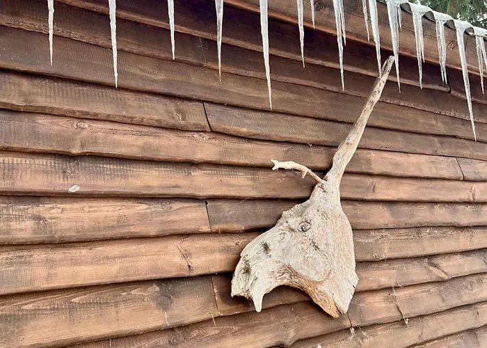 Holzhaus Waldwichtel Am Wald Und * Neuruppin