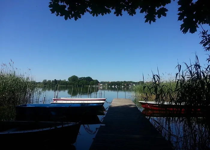 Holzhaus Waldwichtel Am Wald Und *